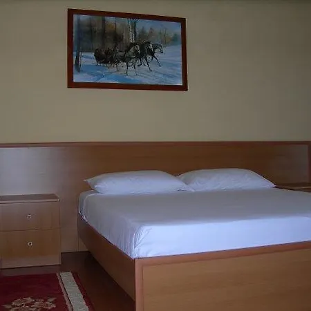 Guest house Vila Viktoria